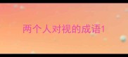 两个人对视的成语