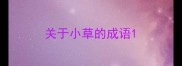 关于小草的成语