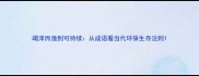 竭泽而渔到可持续从成语看当代环保生存法则
