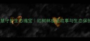 千年智慧守护生态瑰宝红树林成语故事与生态保护全攻略