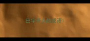 田字开头的成语