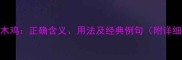 成语口木鸡正确含义用法及经典例句附详细讲解