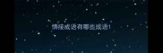 情接成语有哪些成语