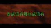 泰成语有哪些成语有