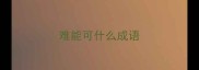 难能可什么成语