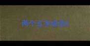 两个五字成语