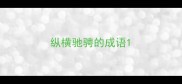纵横驰骋的成语