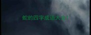 蛇的四字成语大全