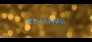 破字中间的成语