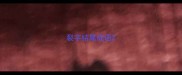 裂字结尾成语