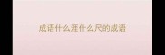 成语什么涯什么尺的成语