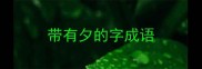 带有夕的字成语