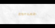 皮包什么成语