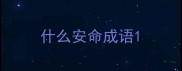 什么安命成语