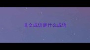 非文成语是什么成语