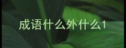成语什么外什么