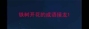 铁树开花的成语接龙