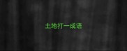 土地打一成语