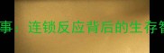 兔死狐悲成语故事连锁反应背后的生存智慧与警示意义
