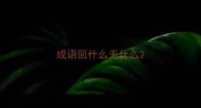 成语回什么无什么