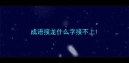 成语接龙什么字接不上