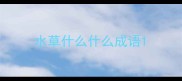 水草什么什么成语