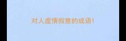 对人虚情假意的成语