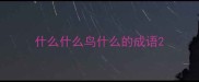 什么什么鸟什么的成语