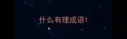 什么有理成语