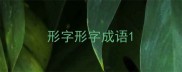 形字形字成语