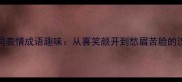 100个不同表情成语趣味从喜笑颜开到愁眉苦脸的汉字艺术