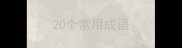 20个常用成语