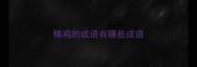 精鸡的成语有哪些成语