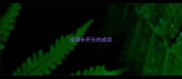 成语孙开头的成语