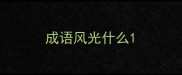 成语风光什么