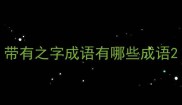 带有之字成语有哪些成语