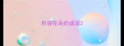 形容花朵的成语