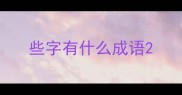 些字有什么成语