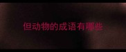 但动物的成语有哪些