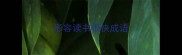 形容读书很快成语