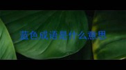 蓝色成语是什么意思