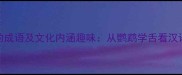 10个与鹦鹉相关的成语及文化内涵趣味从鹦鹉学舌看汉语典故的智慧传承