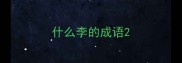 什么李的成语