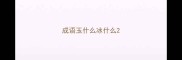 成语玉什么冰什么