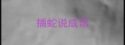 捕蛇说成语