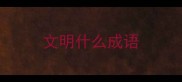 文明什么成语