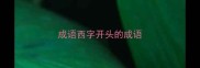 成语西字开头的成语
