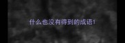 什么也没有得到的成语