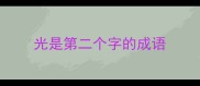 光是第二个字的成语