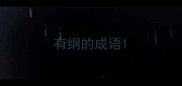有纲的成语